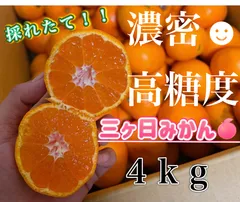 2025年最新】三の人気アイテム - メルカリ