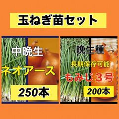 ひろみ様専用ページ‼️もみじ5,000本➕赤玉ねぎ100本‼️玉ねぎ苗