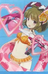 【中古】タペストリー 下落合桃歌 描き下ろしB2タペストリー 「PS5/PS4/Switchソフト アリス・ギア・アイギスCS -コンチェルト オブ シミュラトリックス-」 WonderGOO購入特典