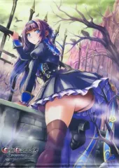 【中古】タペストリー 神園しのぶ B2タペストリー 「PS5/Switchソフト Grim Guardians: Demon Purge」 WonderGOO購入特典