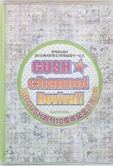 メディコム・トイ 東映レトロソフビコレクション 人造人間キカイダー