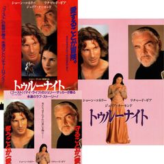 送料無料 】 ストロベリーナイト 映画 パンフレット 誉田哲也 原作