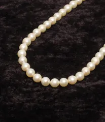 ネックレス パール 6.5－7.0mm