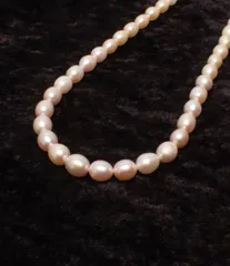 ネックレス 淡水パール 4-9mm レディース