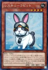 2026年最新】レスキューラビットの人気アイテム - メルカリ