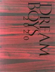 【中古】パンフレット ≪パンフレット(舞台)≫ パンフ)DREAM BOYS 2020