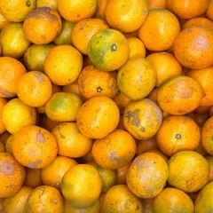 ＼可哀そうな見た目／ 超・訳あり 小玉みかん 5kg 愛媛県産 ご家庭用 自宅用 箱買い 愛媛みかん 小粒 温州 蜜柑 うわじま