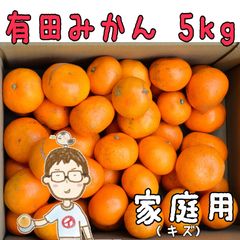 有田みかん 5kg★早生★家庭用(キズ等)★農家のだんな