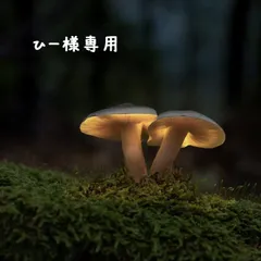 ひー様　3本分専用ページ