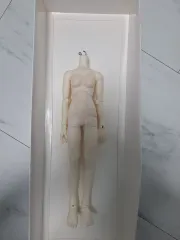 ルーツ美白 msd レディースボディ 単関節