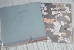 公衆道徳（空中泥棒）アナログ盤 限定カラービニール 公衆道徳（空中泥棒）アナログ盤 限定カラービニール