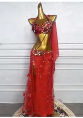 ベリーダンス オリエンタル衣装 薔薇 レッド ブラ スカート オーダーメイド