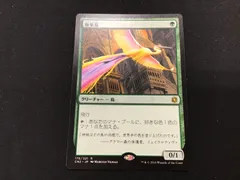 2025年最新】極楽鳥 mtgの人気アイテム - メルカリ