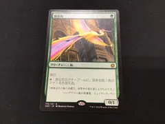 2026年最新】極楽鳥 mtgの人気アイテム - メルカリ