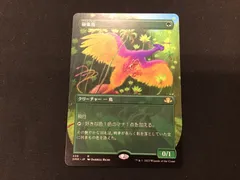 2025年最新】極楽鳥 mtgの人気アイテム - メルカリ