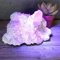 2025年最新】ピンクカルサイトの人気アイテム - メルカリ