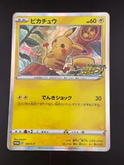 2025年最新】PROMO 124/s-pの人気アイテム - メルカリ