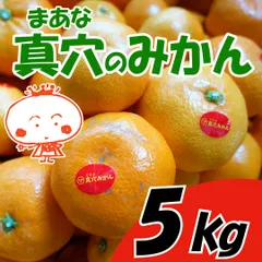 本日もきたーー‼️SP超高糖度！真穴みかん赤秀SS激うま約10k5