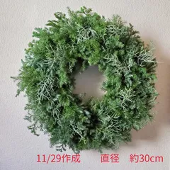 ふわふわ3種類のコニファーリース　ヒムロスギ　ブルーバード　針葉樹　グリーンリース　クリスマスリース　リースベース
