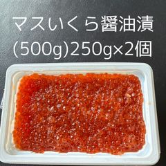 マスいくらしょうゆ(500g)(250g×2個) ※のし対応可