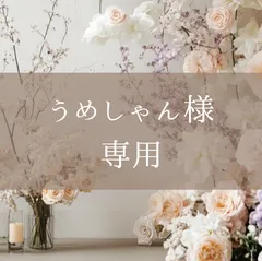 【うめしゃん様専用】A6クリアバインダー リフィル10枚付き（ピンク・くすみブルー）2点セット＋リフィル10枚追加