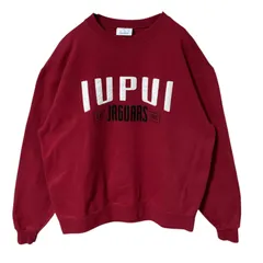 ワッペン トレーナー チャンピオン パープル系 紫 L スウェット レディース ユニセックス メンズ 古着 長袖