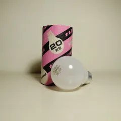 National silica-coated Incandescent Bulb 100V 19W