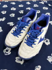 mizuno モレリア NEO 270