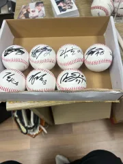 サムスン・ライオンズ スカイ LINE サイン入りボール まとめ 出品