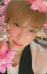 メディアファクトリー 永井豪華版セレクション 永井豪 永井豪華版 全12