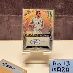 2016-17 Panini Spectra Harry Kane 095/199 直筆サインカード England Global Icons カード