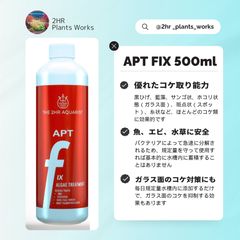 超希少】 ホシクサ・クチホワイト 水中葉1株 アクアリウム 水草 - メルカリ