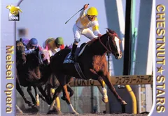 2026年最新】馬券 メイセイオペラの人気アイテム - メルカリ