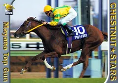 マヤノトップガン「サラブレッドカード 01年下半期」No.123