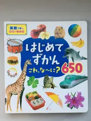 はじめてずかん　これ、な～に？650　永岡書店