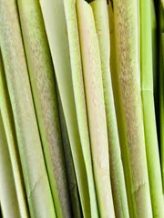 2025年最新】乾燥マコモ葉の人気アイテム - メルカリ