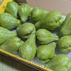 2025年最新】ハヤトウリの人気アイテム - メルカリ