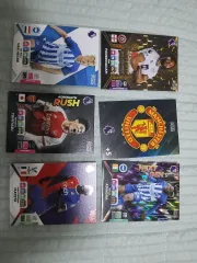 プレミアリーグ パニーニ カード