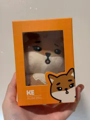 DAY6 デニマルズ(DENIMALZ) 22ケ