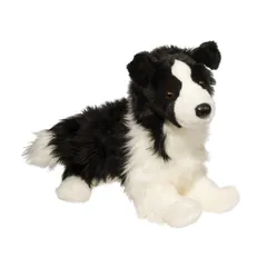 Douglas Chase Border Collie ブラック/ホワイト 16 (41 cm) Long 
