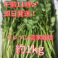 農家直送！減農薬クレソン約1kg クール便 即日発送 - メルカリ
