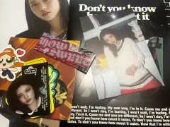 NewJeans(ニュージーンズ・ニュジ)ハウスSWEETヘリン 付属品