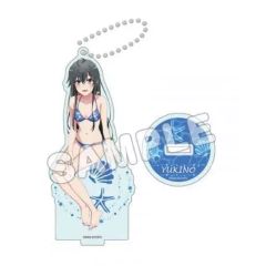 [중고] 아크릴 스탠드 아크릴 패널 유키노시타 유키노 나이트 풀 아크릴 피규어 S [역시 내 청춘 러브 쌀은 틀렸다. 완]