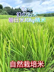 R7年 自然栽培米 朝日米10kg精米
