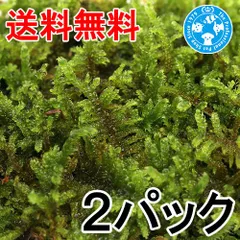 2025年最新】ハイ苔の人気アイテム - メルカリ