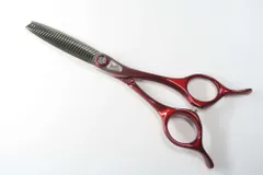 2025年最新】トギノン クイーンの人気アイテム - メルカリ