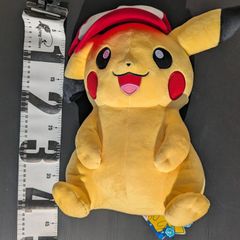 ポケモンセンターオリジナル ぬいぐるみ #マンスリーペアピカチュウ