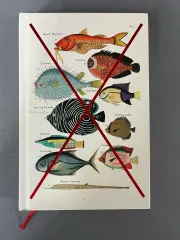 魚は存在しない-ルル ミル