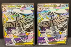 2枚セット　メガユキメノコex ma #20689