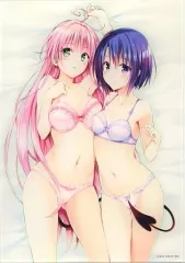 【中古】雑貨 ララ&春菜 アートパネルA 「To LOVEる -とらぶる- 15周年記念原画展」